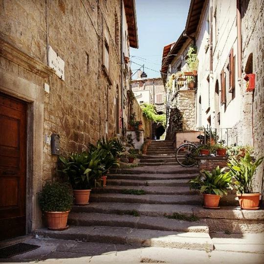 Residenza Turistica Di Via Delle Caiole 32 Viterbo Exterior photo